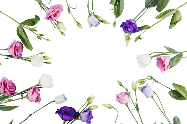 Free PSD beautiful flowers  isolated