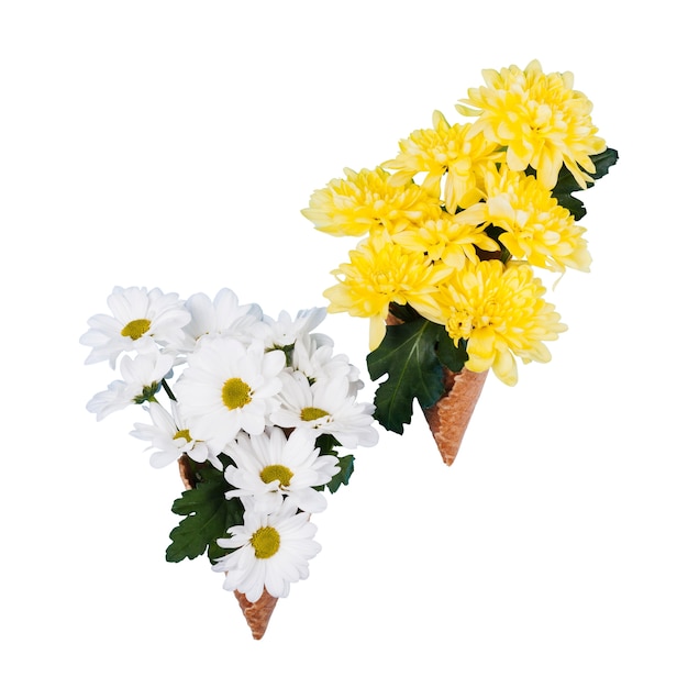 무료 PSD 고립 된 아름 다운 꽃