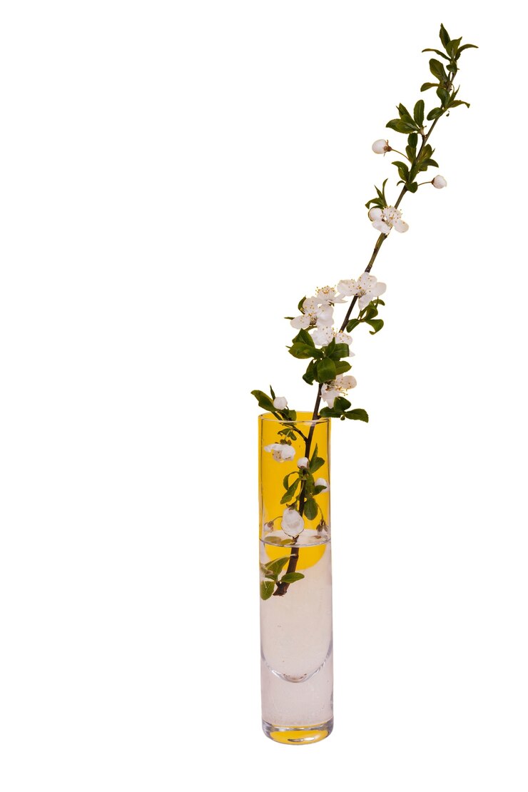 Free PSD beautiful flowers in vase isolated