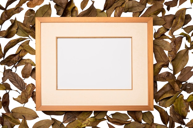 Free PSD beautiful leaves frame