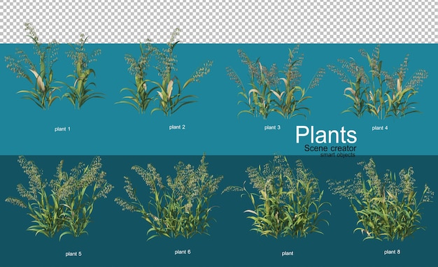 Beautiful variety of crops in different styles