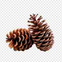 Free PSD beautifully decorated modern handmade large pine cones isolated on transparent background