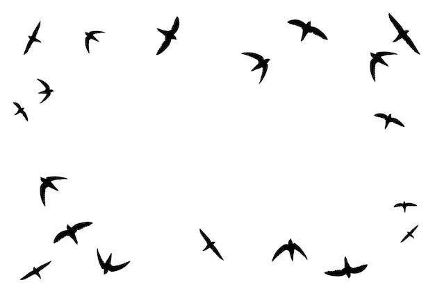 Free PSD bird silhouette illustration