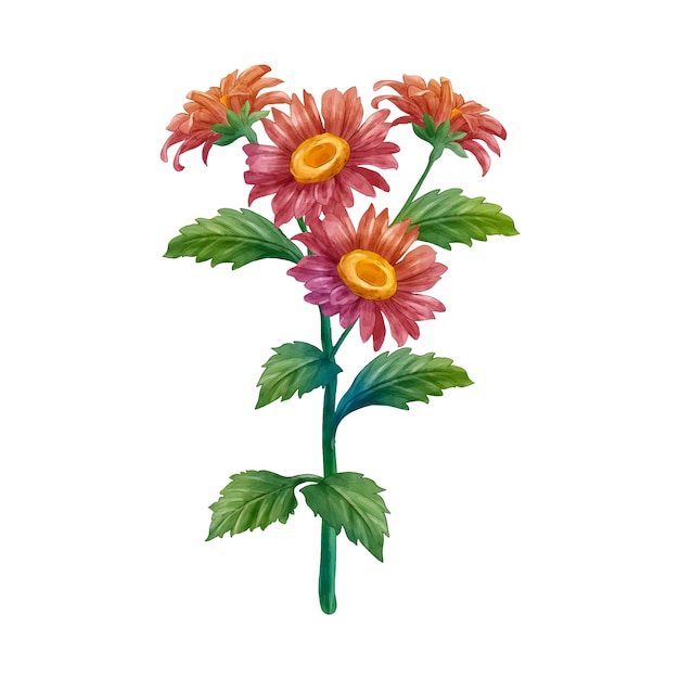 botanical flower design