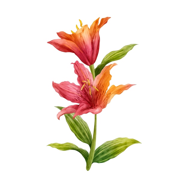 botanical flower design