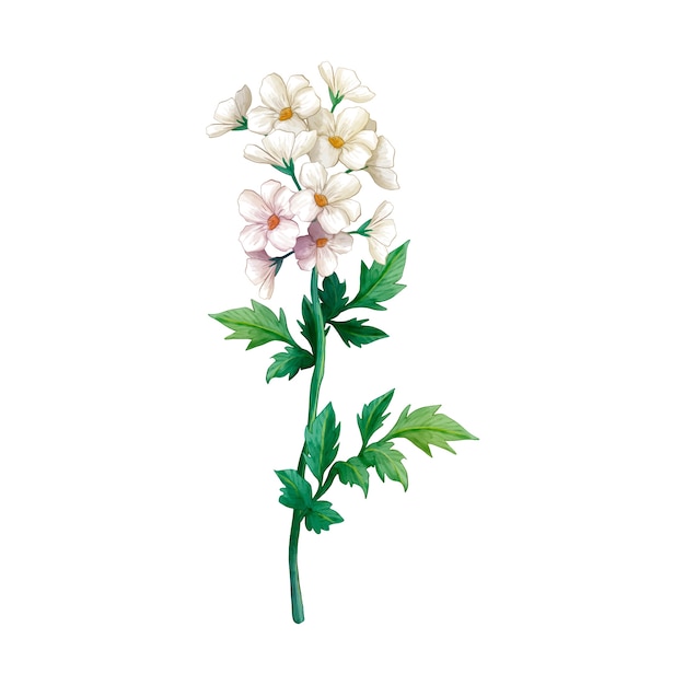 식물 꽃 디자인