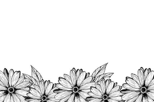 botanical flowers border illustration