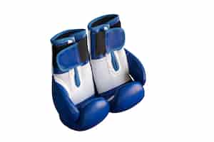Free PSD boxing gloves isolated