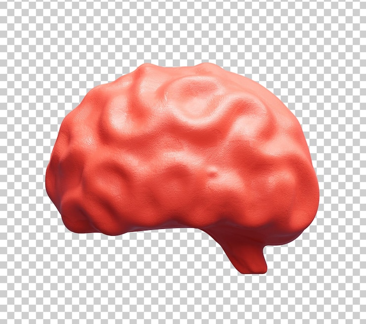 Free PSD brain human organs 3d icon illustration