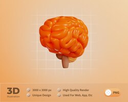 免费的PSD大脑图标教育3 d演示