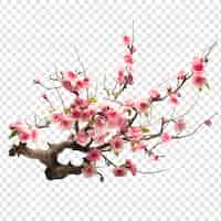 Free PSD branching spring centerpiece isolated on transparent background