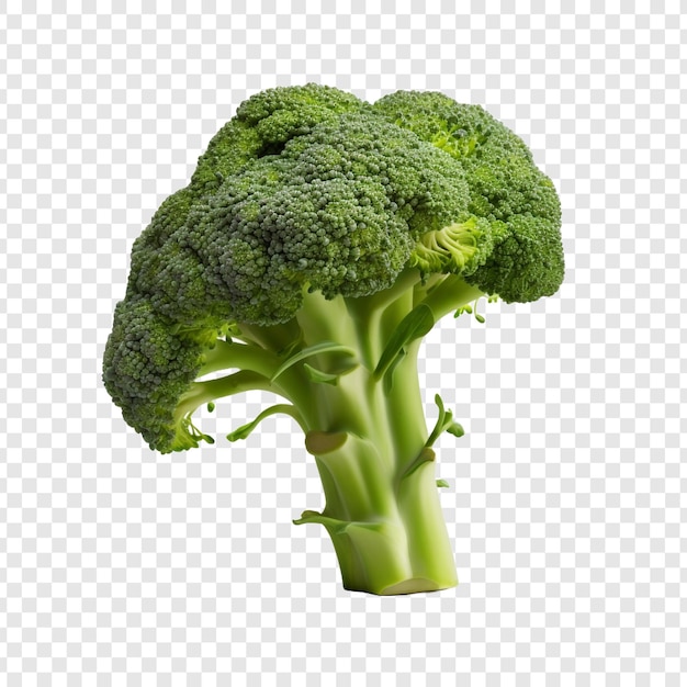 Free PSD a broccoli 3d isolated on transparent background