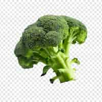 Free PSD a broccoli 3d isolated on transparent background