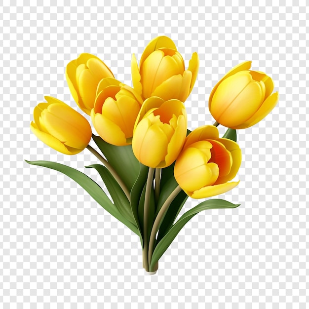 Free PSD bunch of yellow tulips isolated on transparent background