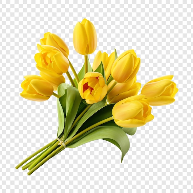 PSD gratuito un grappolo di tulipani gialli isolati su uno sfondo trasparente