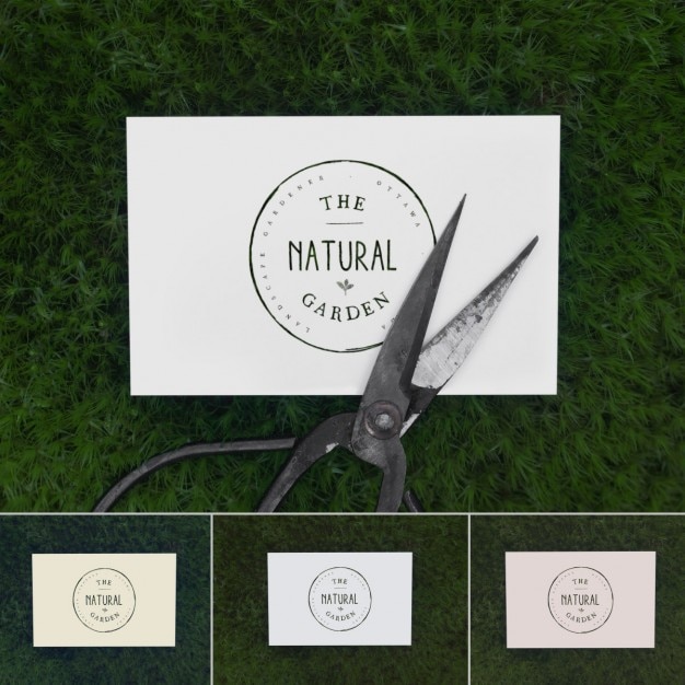 Business card above grass mock up