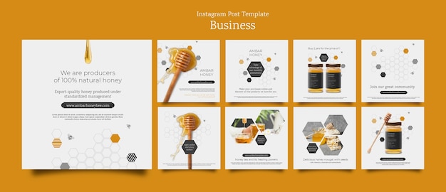 Free PSD business concept instagram posts template