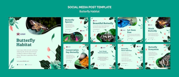 PSD gratuito modello di post sui social media per il concetto di habitat delle farfalle