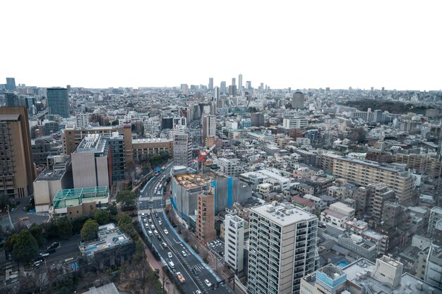 City skyline  isolated