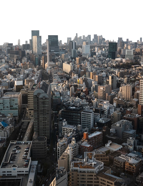 City skyline  isolated