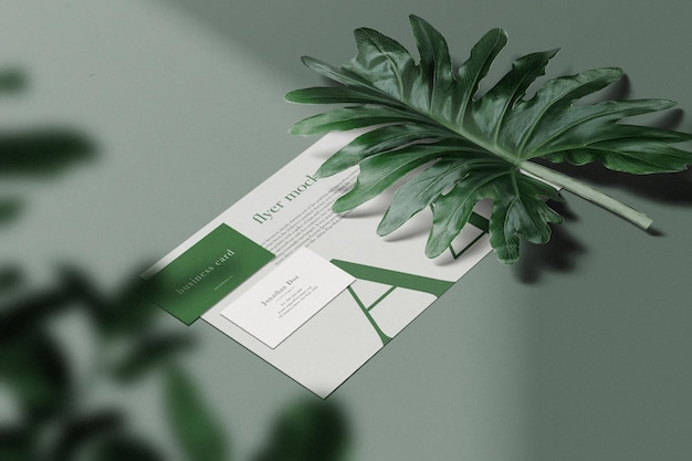 Clean minimal business card and a4 mockup on background with leaf. psd file.