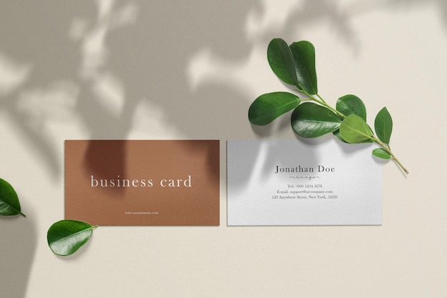 Clean minimal business card mockup on texture with leaves.