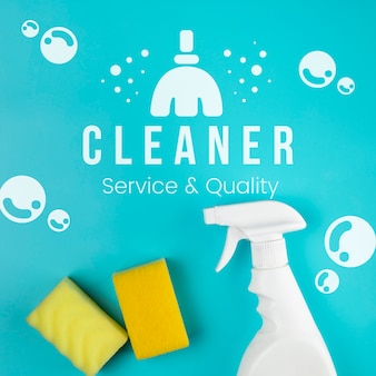 Cleaner service and quality sponge and spray