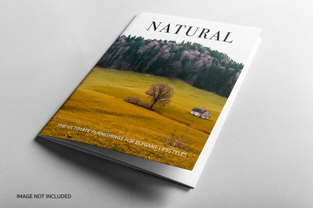 Download Catalogue Mockups Free Vectors Stock Photos Psd