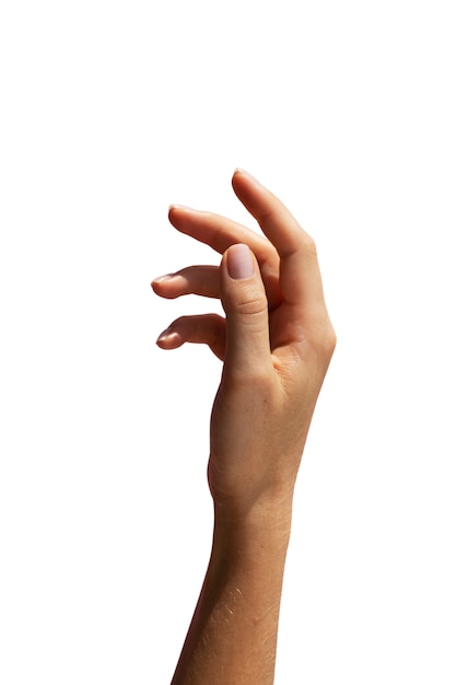 Free PSD close up on delicate hands gesturing