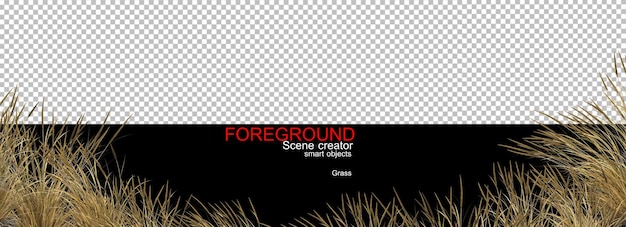 Closeup camera grass