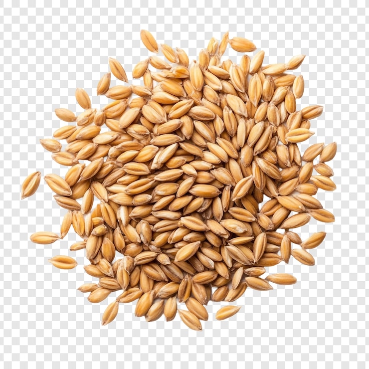 Free PSD a closeup view of a pile of organic wheat grains