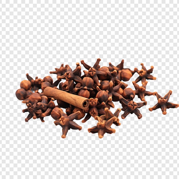 Cloves isolated on transparent background