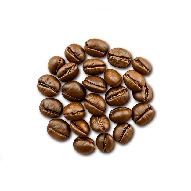コーヒー豆のパターンデザイン