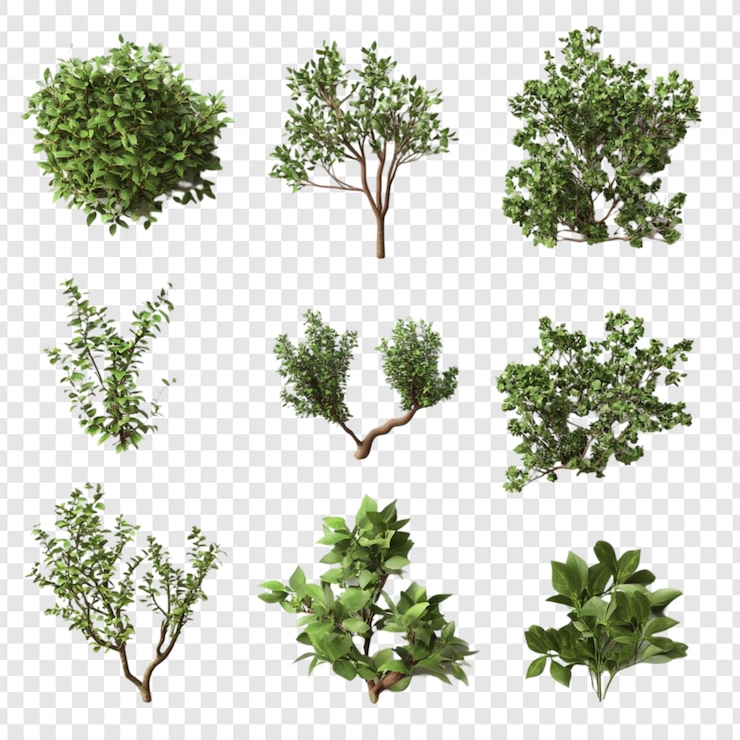 Free PSD collection of 3d rendered green trees and bushes