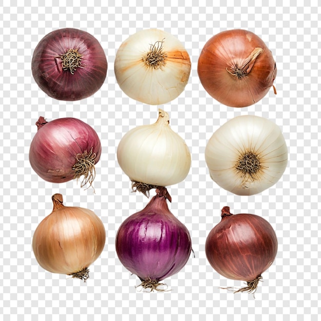Collection of Colorful Onions A Culinary Delight
