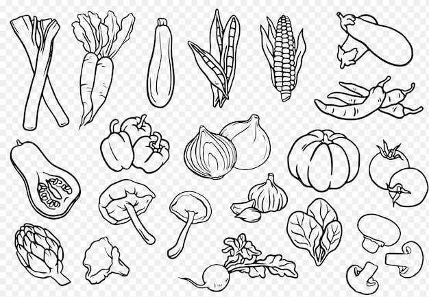 Drawing Cartoon Gourmet Simple Fruits And Vegetables PNG Images | PSD Free  Download - Pikbest