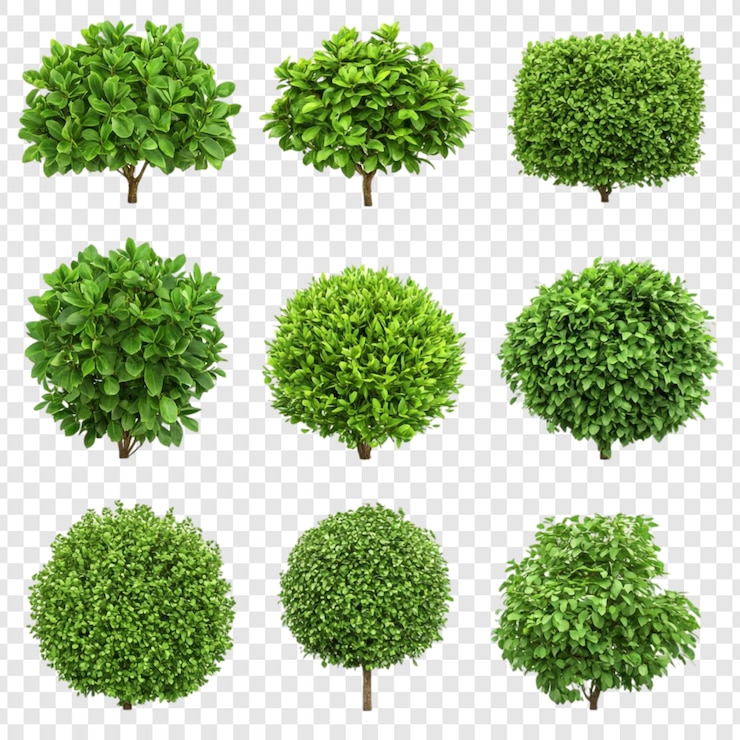 Free PSD collection of nine lush green shrubs and bushes isolated on transparent background