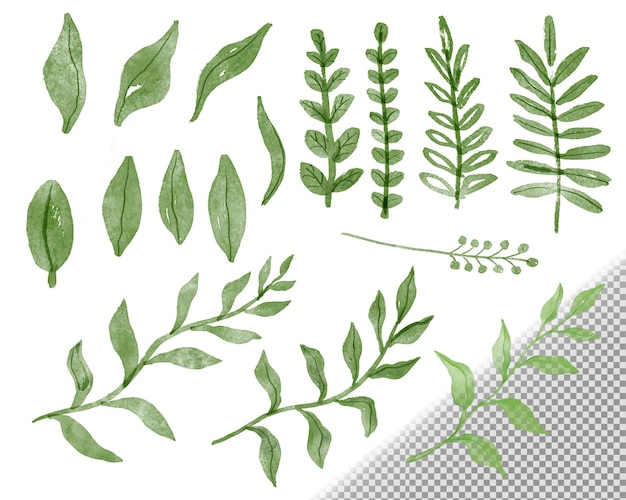 Бесплатный PSD Коллекция акварельных листьев каракулей