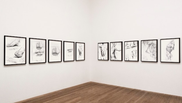 Collection of sketched human body parts framed on a wall