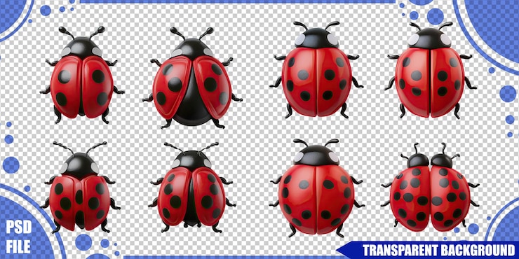 Free PSD colorful ladybug illustrations for nature themes