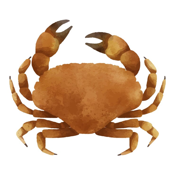 Free PSD crab seafood illustration design