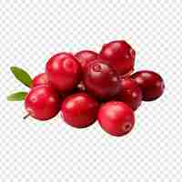 Free PSD cranberry isolated on transparent background