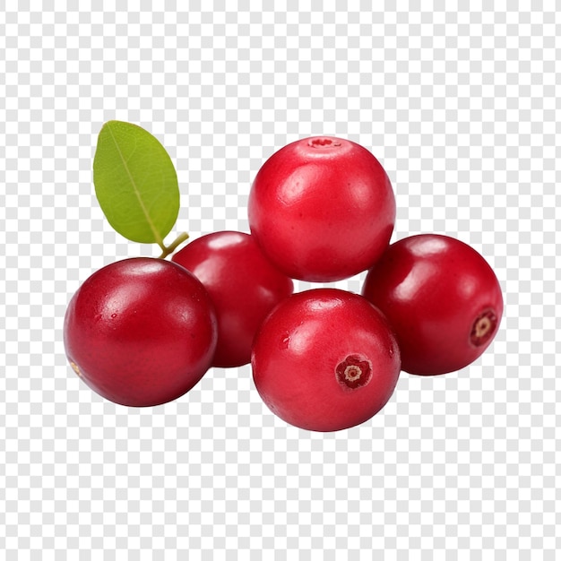 Cranberry isolato su sfondo trasparente
