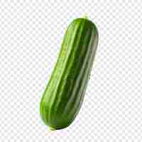 Free PSD cucumber isolated on transparent background