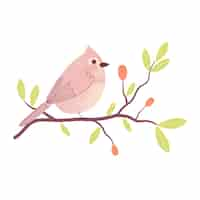 Free PSD cute bird on branch