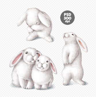 森のイラストで歌う動物 プレミアムpsdファイル 森のイラストで歌う動物 プレミアムpsdファイル
