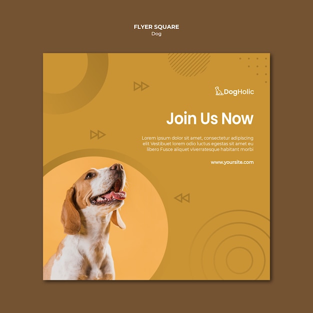 Cute dog square flyer design