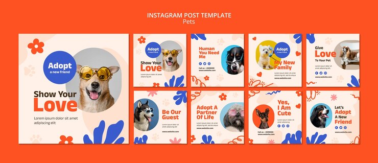 Бесплатный PSD шаблон постов в instagram с милыми домашними животными