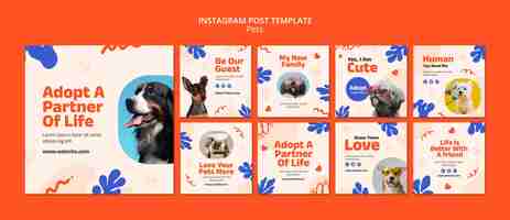 Free PSD cute pets instagram posts template