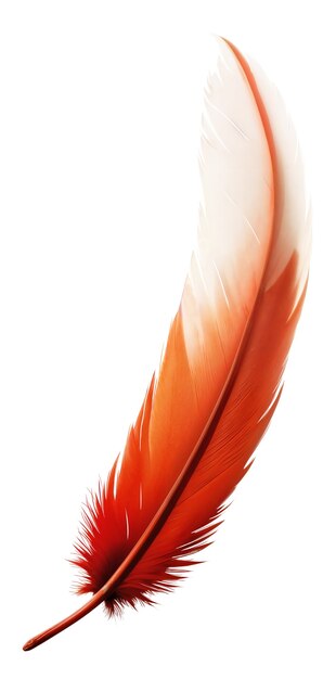 섬세한 털 고립